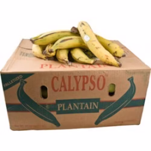 Plantain Gula