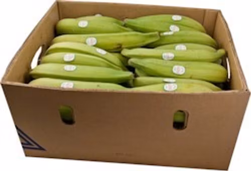 Plantain Gröna
