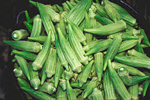 Okra fresh