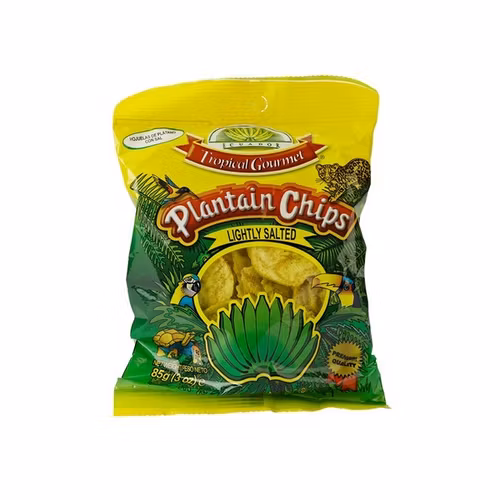TROPICAL GOURMET SALTED PLANTAIN CHIPS