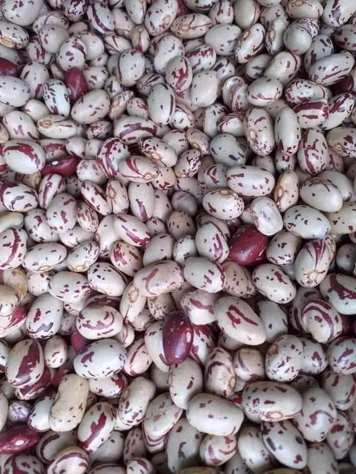 Rose coco beans 1kg
