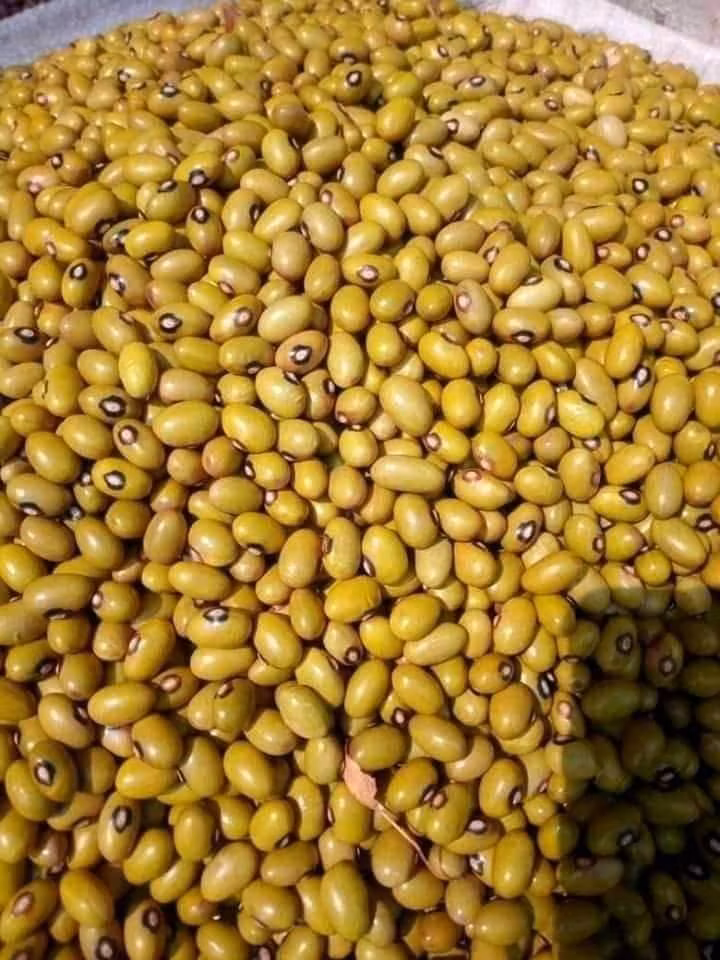 Uganda Yellow beans 1kg