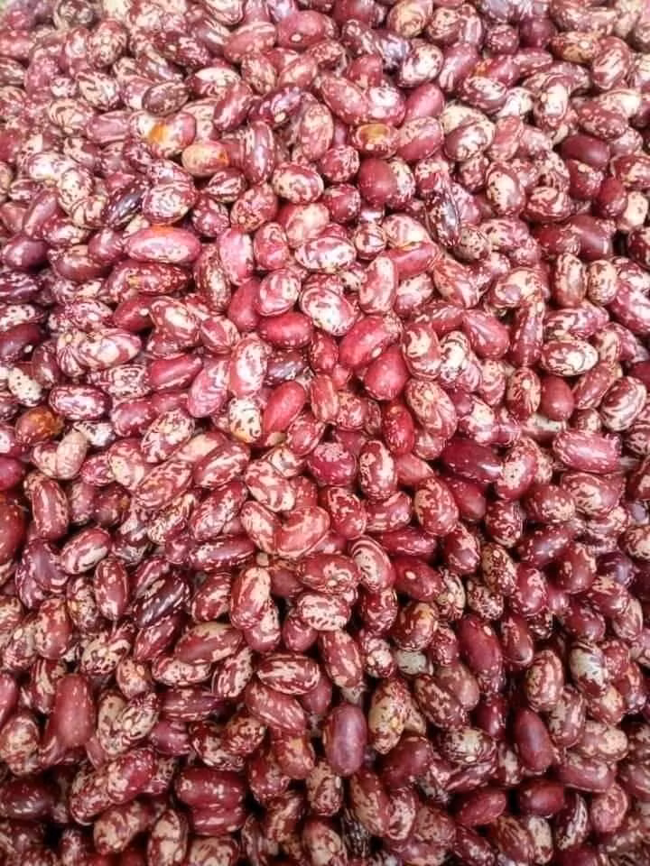 White and red beans 1kg