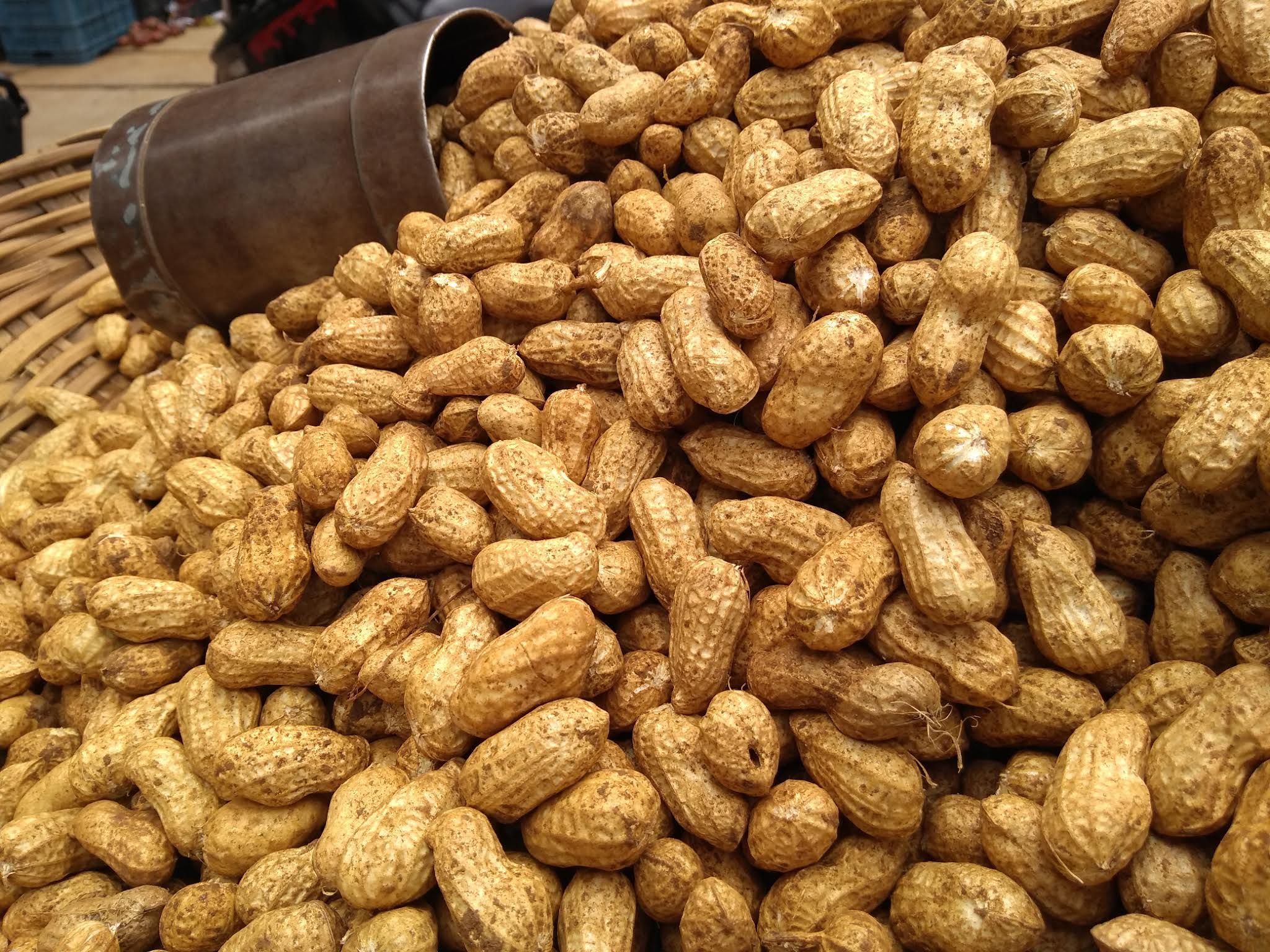 Fresh peanut 1kg