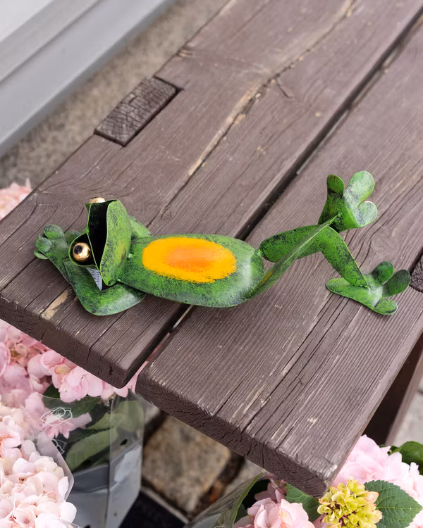 Groda som chillar i hamrad plåt