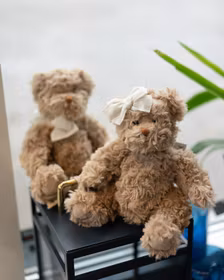 Romy & Ethan 25cm
