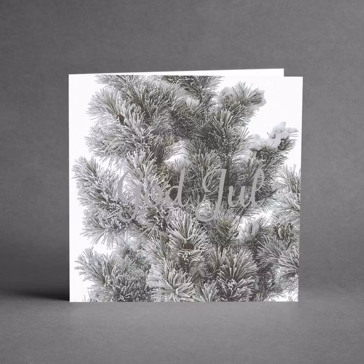 God Jul Silver
