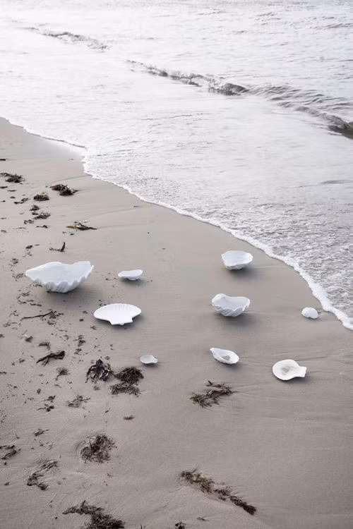Shell skål snäcka ByOn
