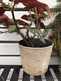 Kruka Rondo Mud
