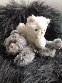 Cosy Cats, Mysiga Katter två färger 18cm