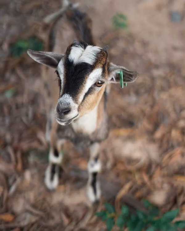 Get Gambia - FINE ART PRINT - emma premberg photo