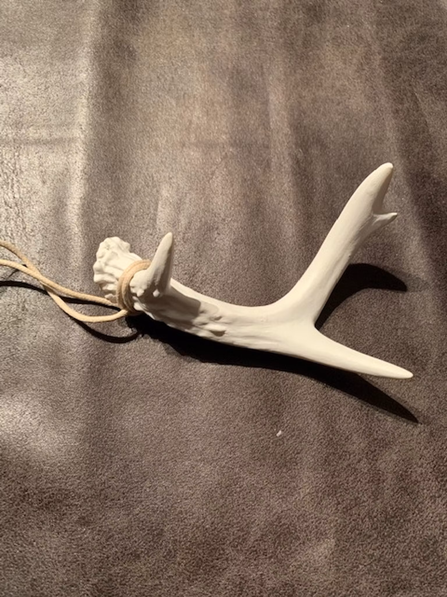 Dekoration Renhorn