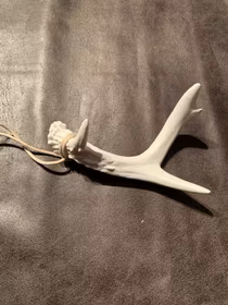 Dekoration Renhorn