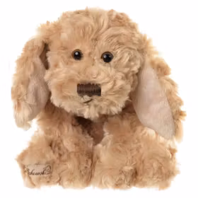 Buddy - hund