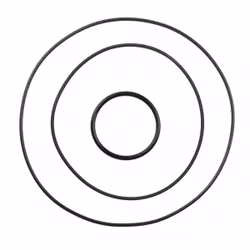 O-RING STAR HEAD BETA RR 250/300