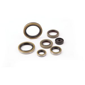OLJEPACKNINGSKIT TILL MOTOR - KTM EXC TPI 250-300 - 2T