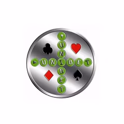 100 st. logo card protector