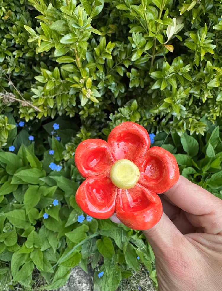 Vinkork ~ Blomma