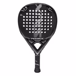 Siux Pegasus Graphene 1K