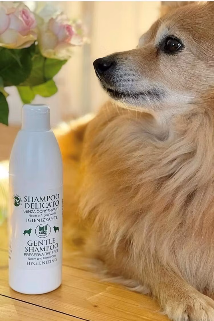 Mi Fido Delicate Hygenic Shampoo för djur