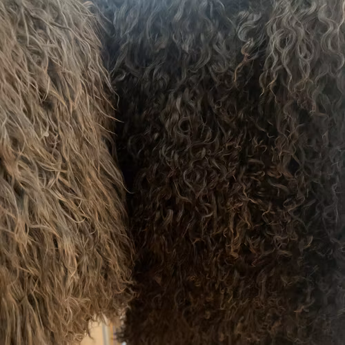 Lammskinn långhårigt