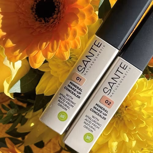 Mineral Wake-up Concealer 02