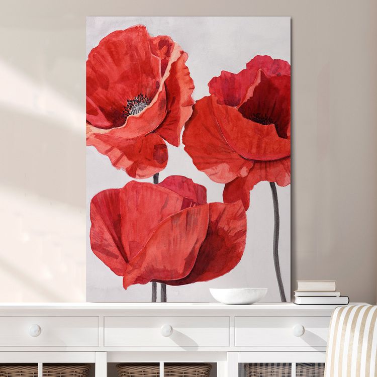 Painted Poppy 2 Canvas