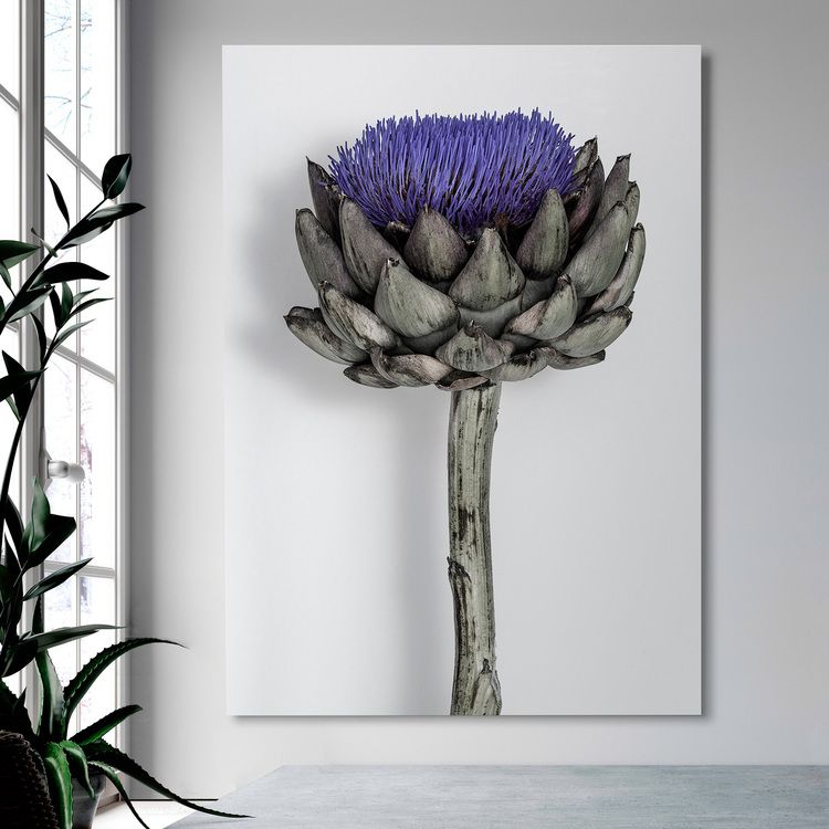 Purple Artichoke on Canvas