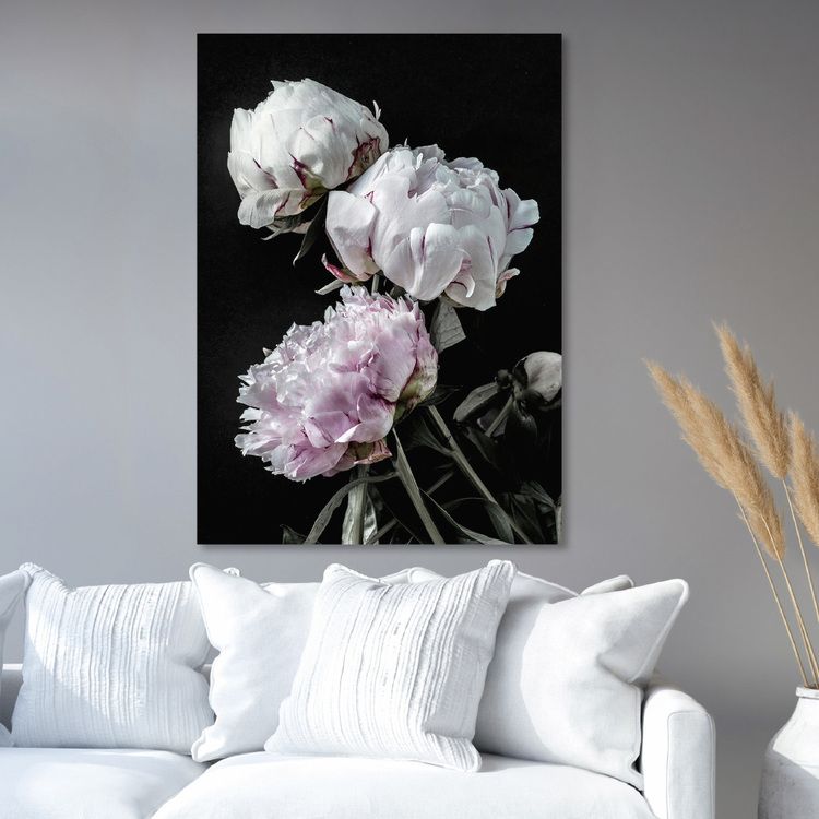 Peonies Canvas