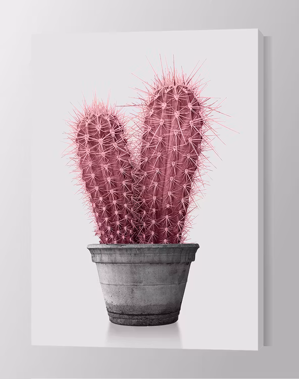 Pink Cactus Canvas