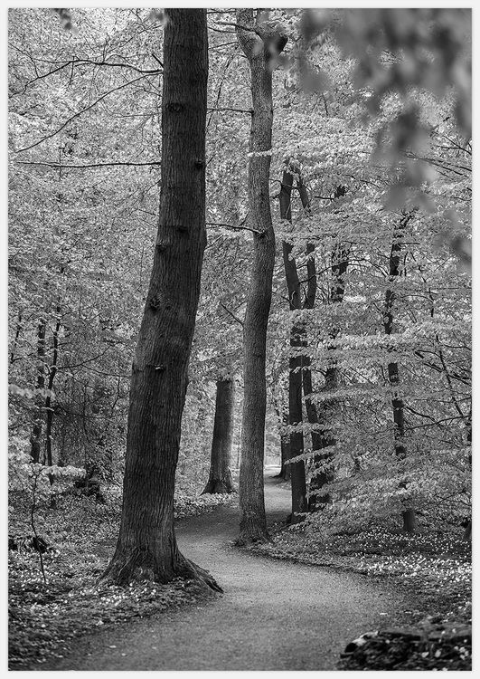 Spring Break black & white Art Print