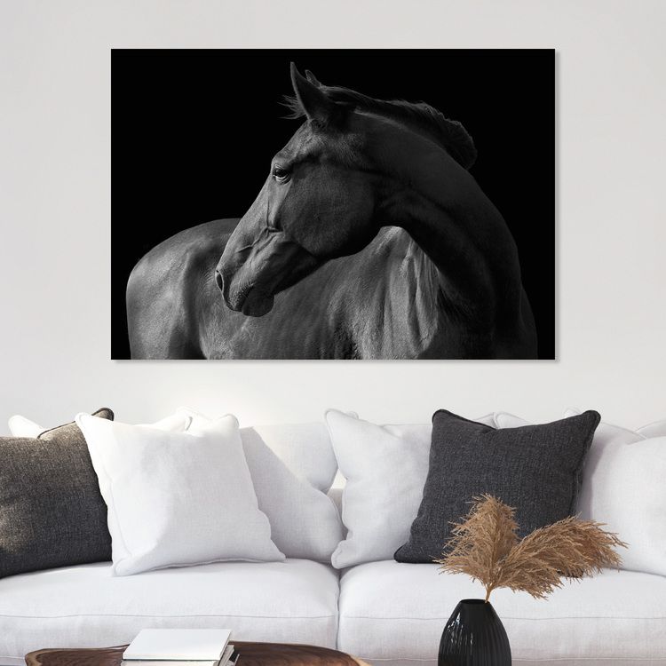 Horse black & white on Canvas