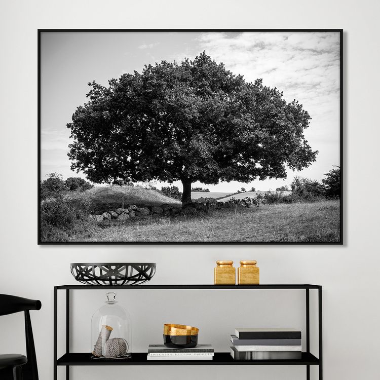 Amazing Tree Poster