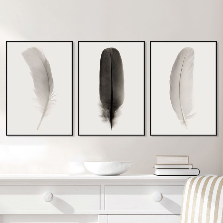 Tavelvägg Feathers Posters