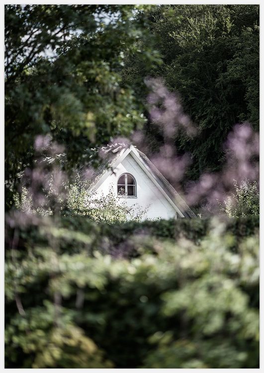 Cottage Art Print