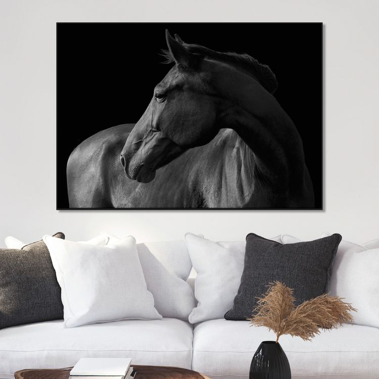 Horse black & white poster