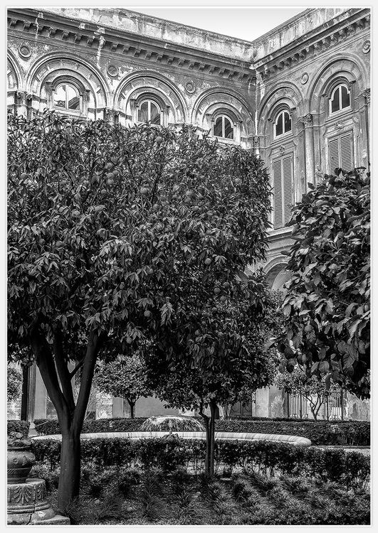 Italian Garden B&W Art Print
