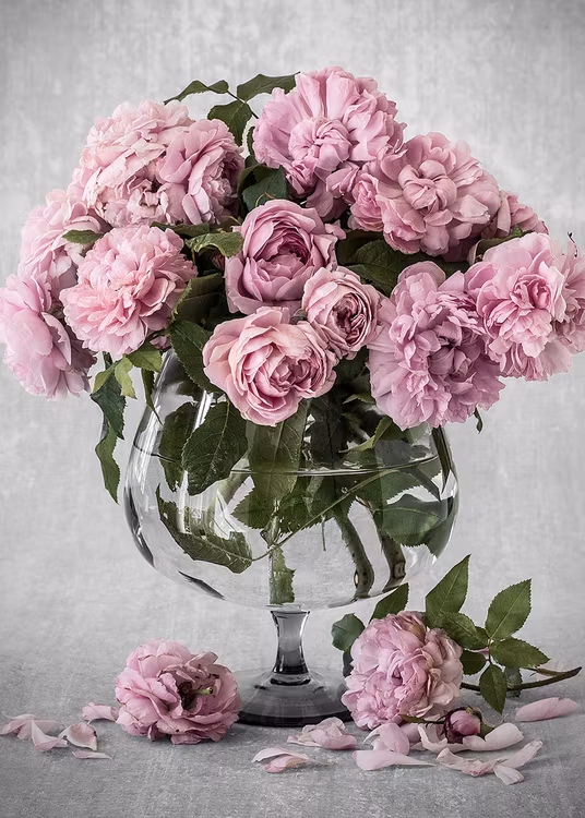 Bowl of Roses Canvas