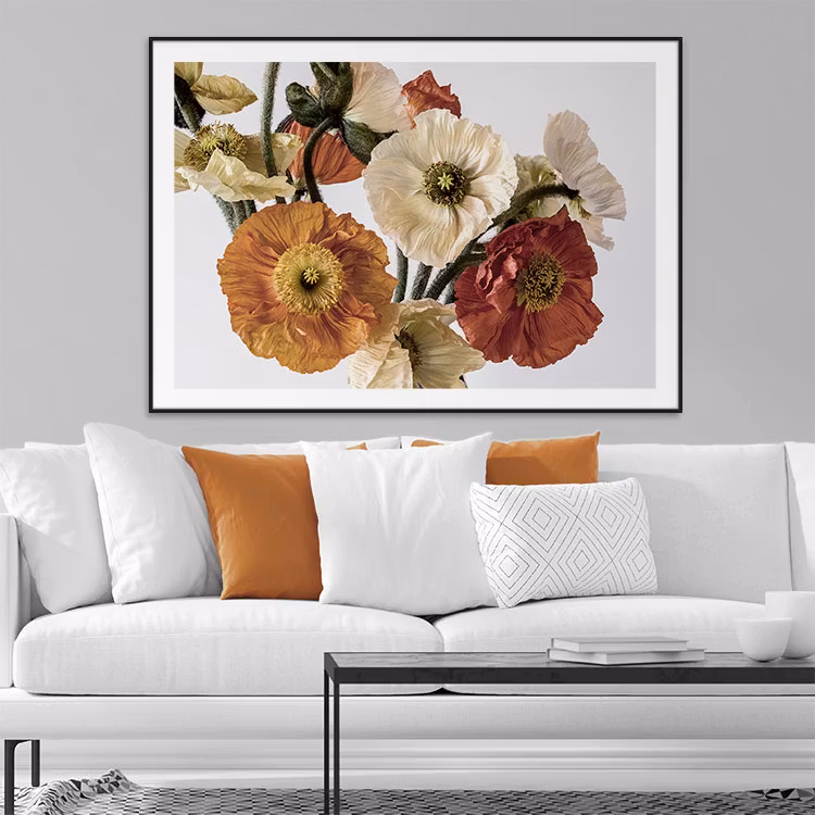Light-coloured Poppies Poster