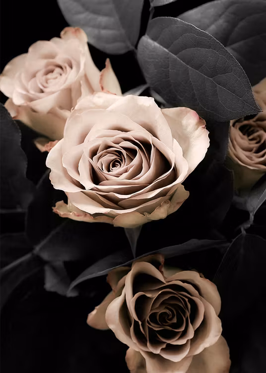 Classic Roses Canvastavla