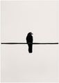 Crow on a wire Art Print