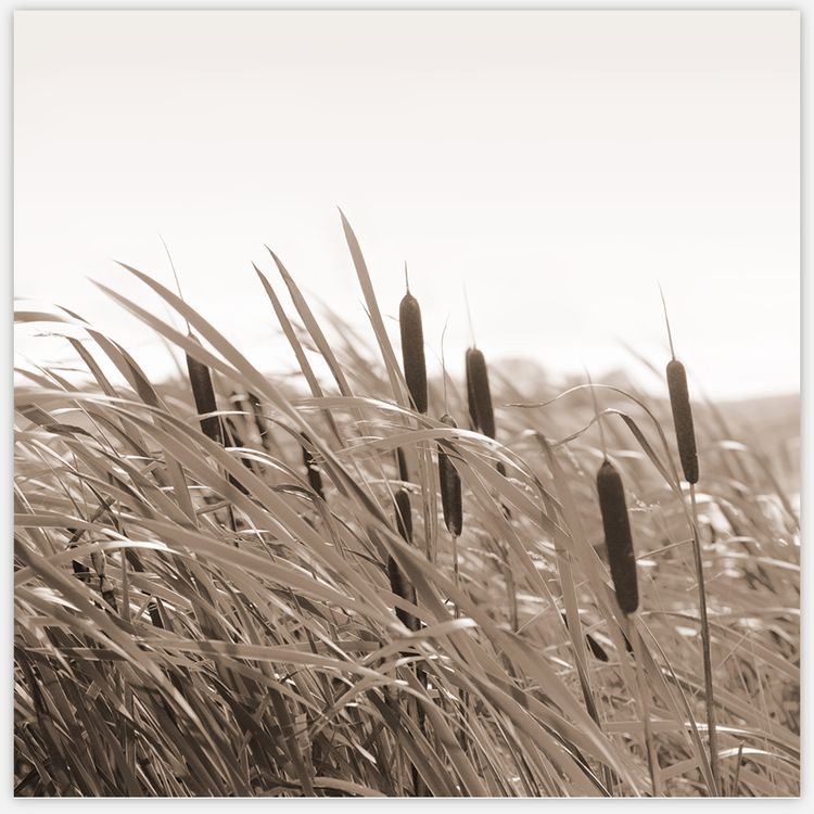 Autumn Breeze in Square Art Print