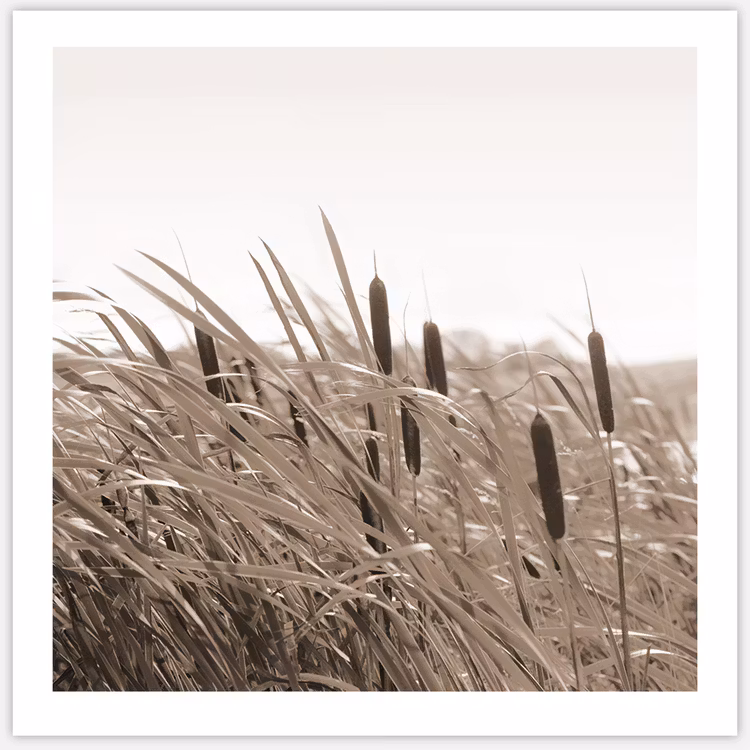Autumn Breeze in Square Art Print