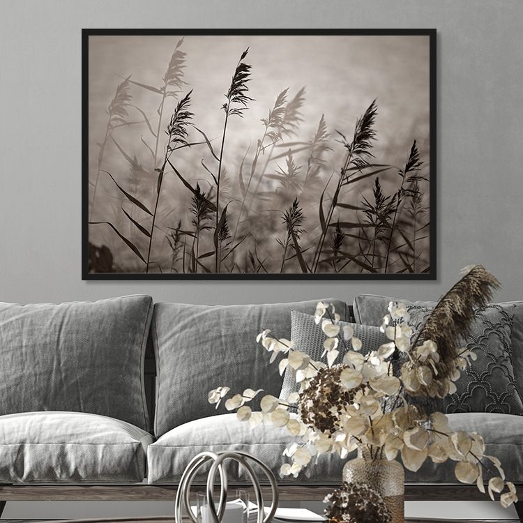 Reeds in warm eveninglight poster