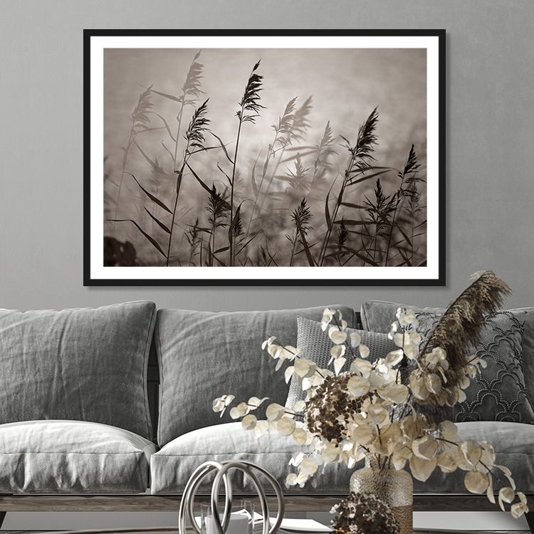 Reeds in warm eveninglight poster