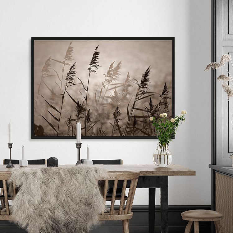 Reeds in evening light poster
