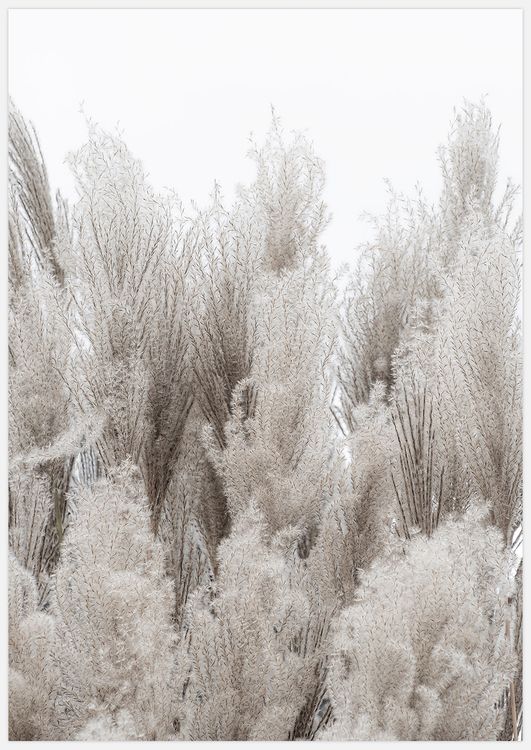 Reeds variant 2 Art Print
