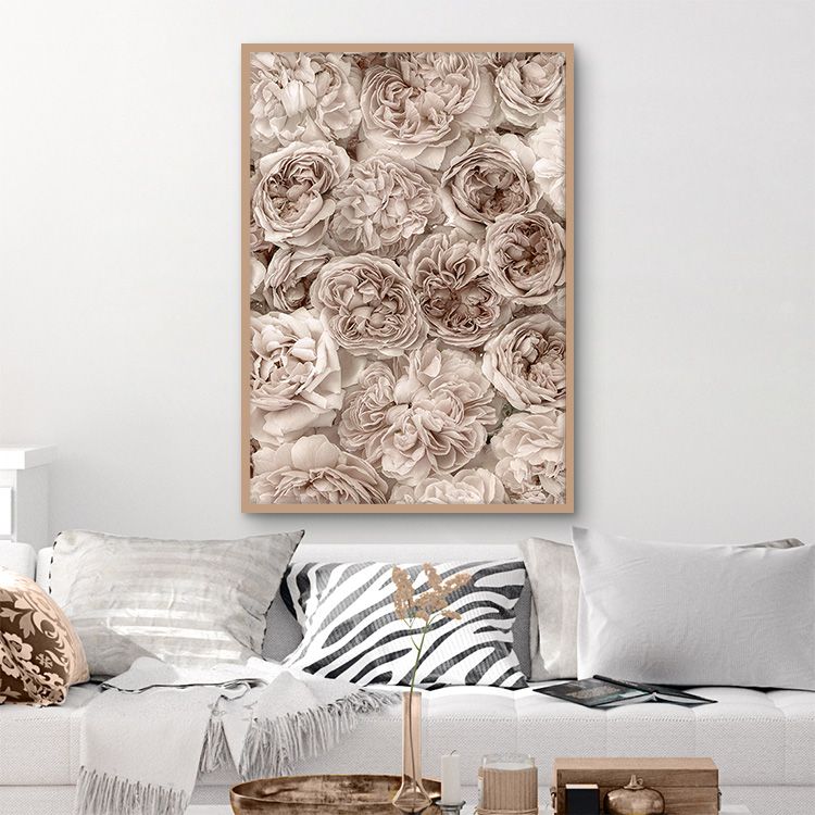 Soft rosebed poster