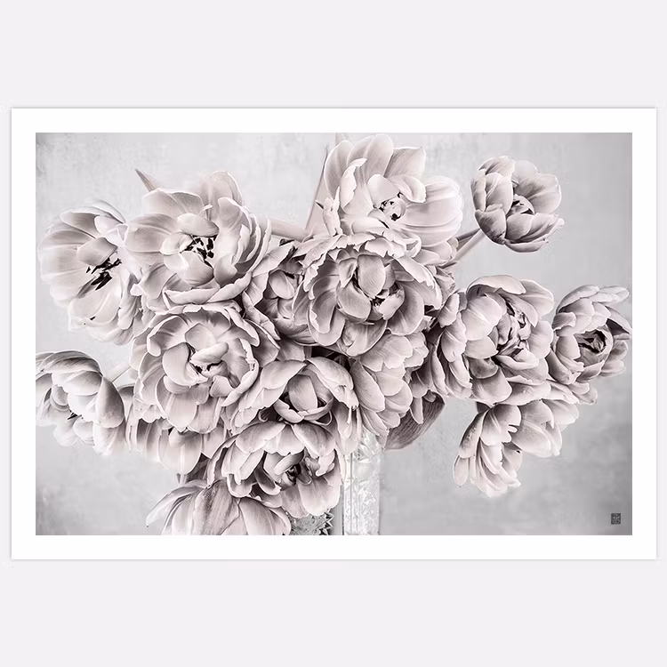 Frosty Tulips Poster