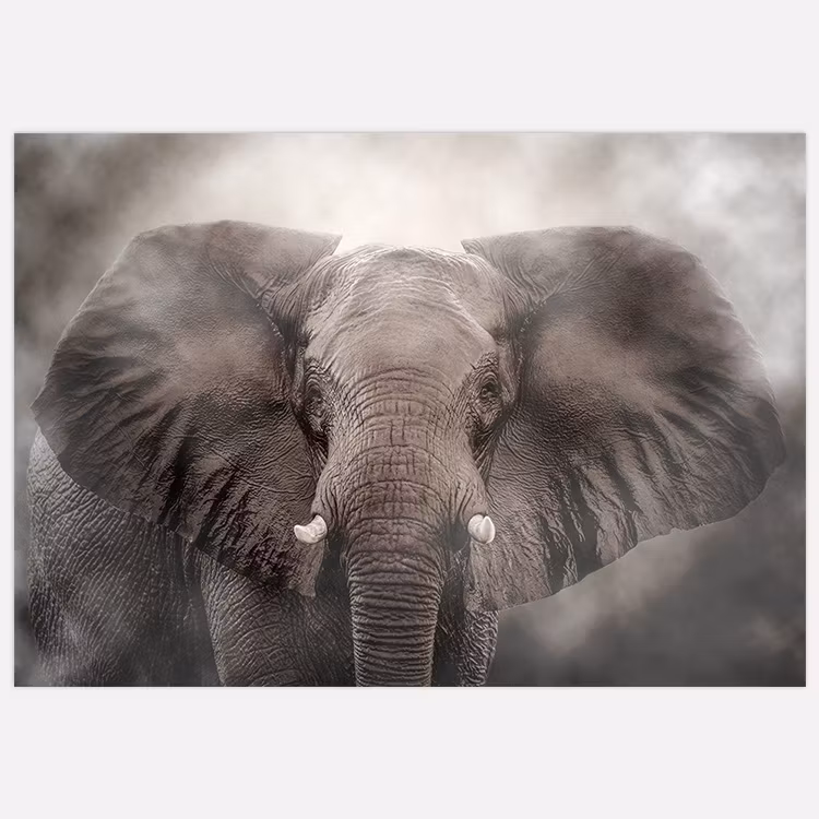 Elephant Poster